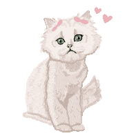 thebabypinkshop cat pink kitty sunglasses Sticker