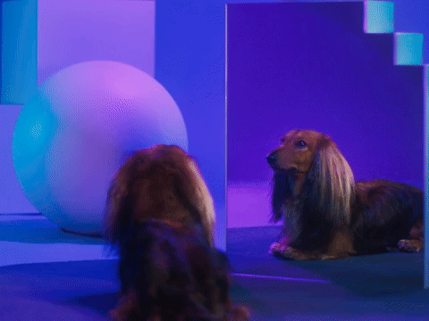 I Bring Out the Best in Others