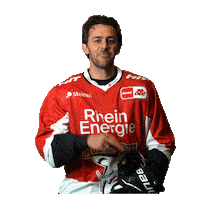 Goal Celebrate Sticker by Koelner Haie