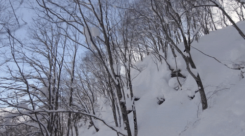 snowboard GIF by Red Bull