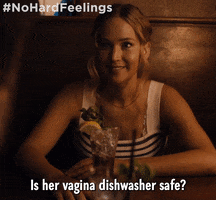 No Hard Feelings GIF by Sony Pictures