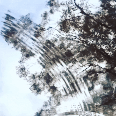 water reflection GIF