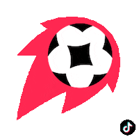 World Cup Football Sticker by TikTok