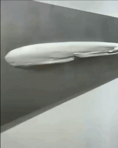gustavotdiaz giphyupload jontyhurwitzart GIF