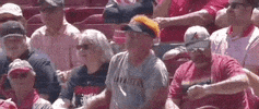 World Series Baseball GIF by NCAA Championships