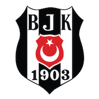 Logo Basket Sticker by Basketball Champions League