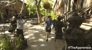 the apprentice uk GIF by BBC