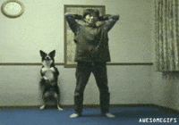 dog man GIF