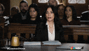 Season 5 Nbc GIF by Law & Order
