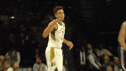 Blue And Gold Basketball GIF by Indiana Pacers