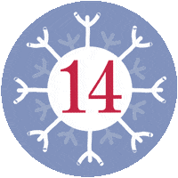 Christmas December Sticker by Waltermedia