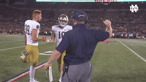 Notre Dame Nd Football GIF by Notre Dame Fighting Irish