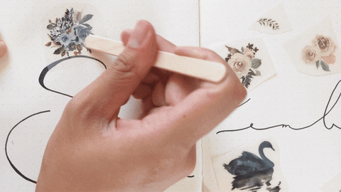 scriptandsea giphyupload GIF
