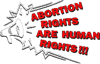 Human Rights Vote Sticker