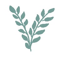 Grow Plant Based Sticker