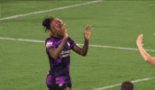 2025 GIF by National Women's Soccer League