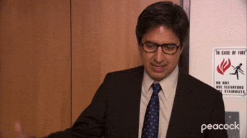 Ray Romano Sabotages Himself