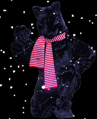 Snow Winter GIF by Haverford College