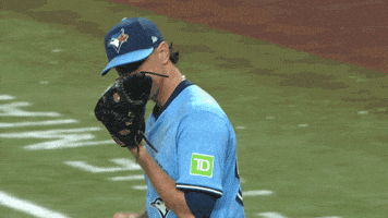 Blue Jays Baseball GIF by Toronto Blue Jays