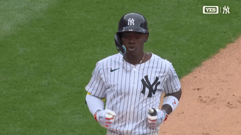 Celebrate New York Yankees GIF by MLB