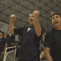 Bjj GIF by Art of Jiu Jitsu