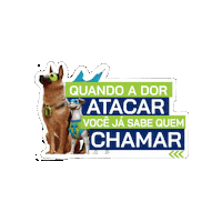 Avert360 Sticker by Avert Saúde Animal