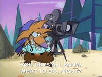 nickrewind nicksplat angry beavers GIF