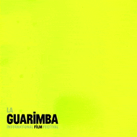 Which Way What GIF by La Guarimba Film Festival
