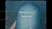 PapaSalt dance music party summer GIF
