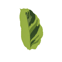 Jungle Plant Mom Sticker