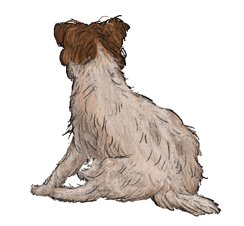 Dog Sticker