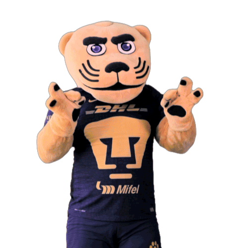 Football Sport Sticker by Pumas MX