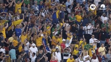 World Cup Win GIF by Football Australia