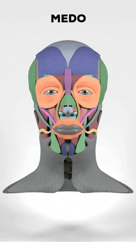 CICEM giphygifmaker face fear facial GIF