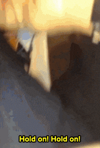 bernie sanders news GIF