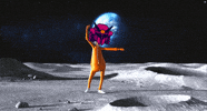 tinycolony gamer solana tinycolony GIF