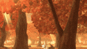 On My Way Running GIF by Pokémon