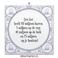 Humor Spreuk Sticker by Tegelspreuken.nl