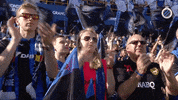football applause GIF by Club Brugge