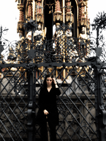 Wundersaar GIF