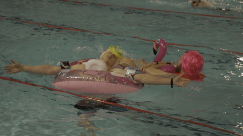 unicorn dodo GIF by Clartés Bohemia