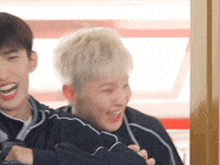 Dk 세븐틴 GIF
