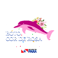 Estado Do Para Sticker by SECOMPA