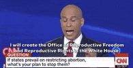 Demdebate GIF by GIPHY News