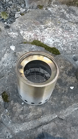 CCook80 giphygifmaker GIF