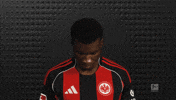 Eintracht Frankfurt GIF by Bundesliga