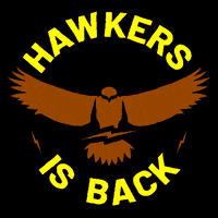 neoncoco hawkers is back GIF