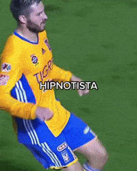 Liga Mx Tigres GIF