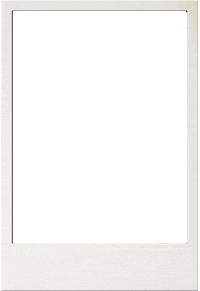 Ehfeuro2020 Sticker by EHF