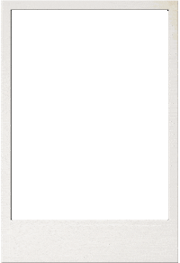 Ehfeuro2020 Sticker by EHF